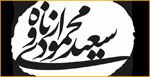 سعید محمودی ازناوه