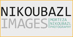 مرتضی نیکوبذل